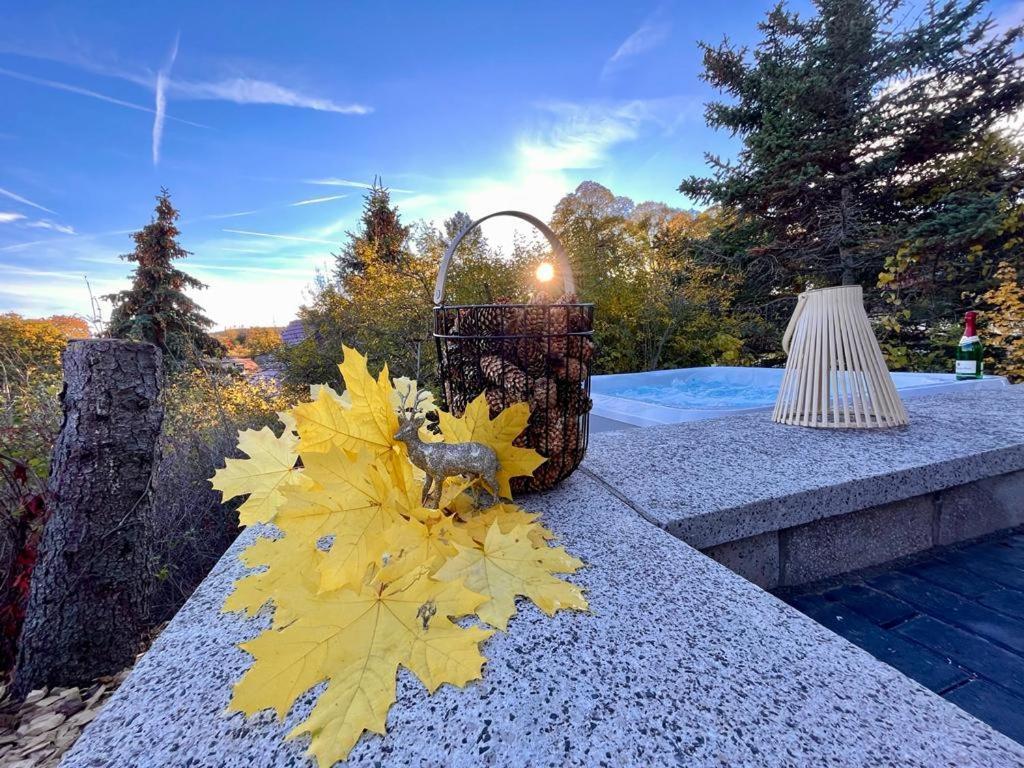 Ferienhaus Harzblick Meisdorf Bagian luar foto